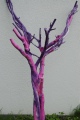 violettkreuz